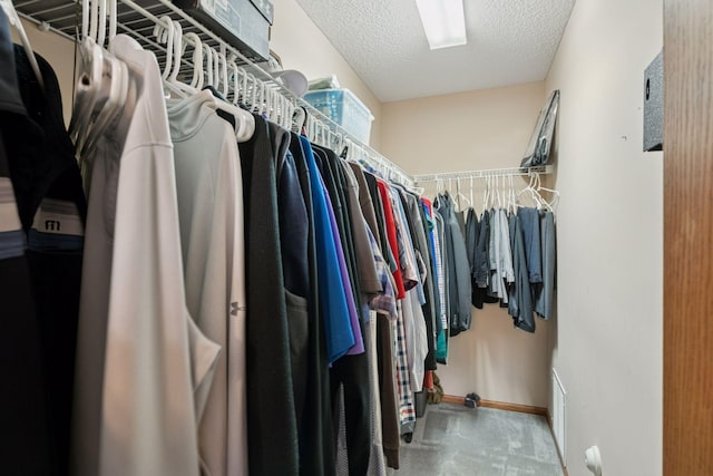 9741 Saint Andrews Dr, Elko New Market, MN 55020 - walk in closet with carpet floors