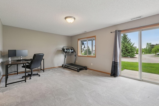 9741 Saint Andrews Dr, Elko New Market, MN 55020 - carpeted home office with plenty of natural light, a textured ceiling, and baseboards