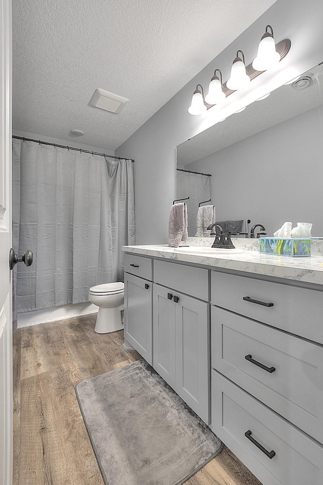 454 Roosevelt Dr, Dresser, WI 54009 - bathroom with wood finished floors, vanity, toilet, and a textured ceiling