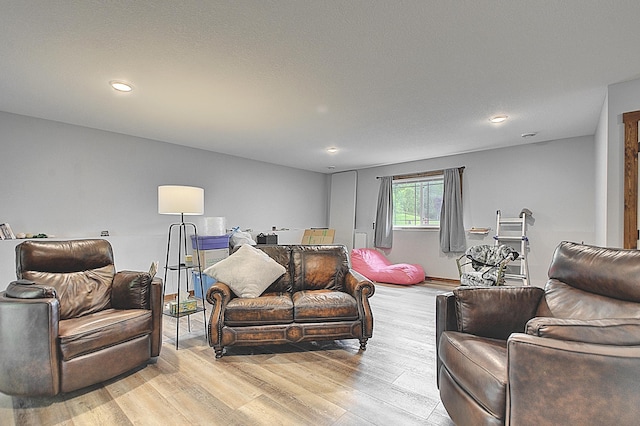 454 Roosevelt Dr, Dresser, WI 54009 - living area featuring light wood-style flooring and recessed lighting