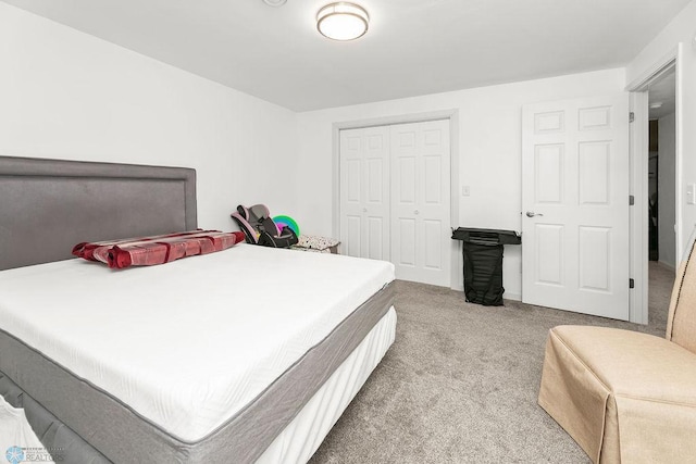 4467 53rd St S, Fargo, ND 58104 - carpeted bedroom featuring a closet