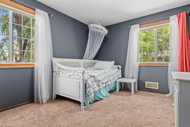 18905 Yalta St NE, East Bethel, MN 55092 - carpeted bedroom featuring baseboards