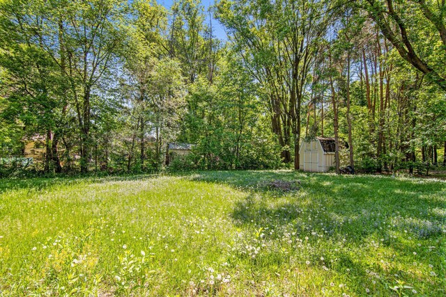18905 Yalta St NE, East Bethel, MN 55092 - view of yard