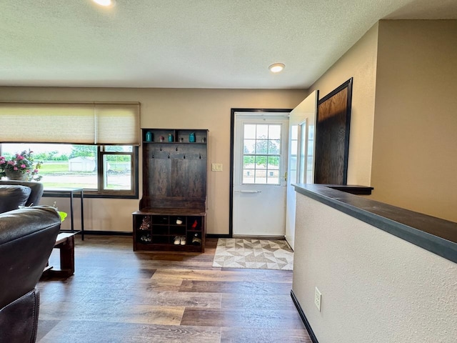 507 5th St NW, Barnesville, MN 56514 - entrance foyer featuring wood finished floors, a textured ceiling, baseboards, and recessed lighting