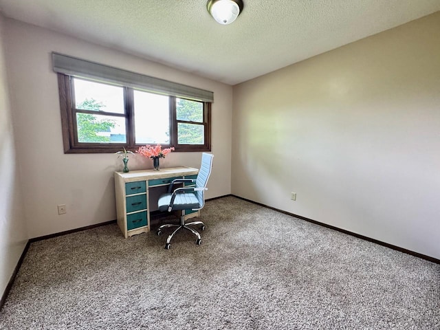 507 5th St NW, Barnesville, MN 56514 - office area with carpet flooring, a textured ceiling, and baseboards