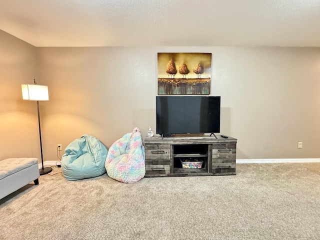 507 5th St NW, Barnesville, MN 56514 - carpeted living room with baseboards