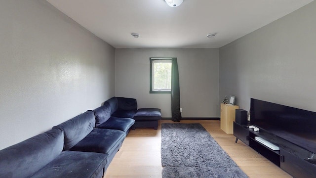 1175 Maben Ave S, Isle, MN 56342 - living room with light wood-style flooring and baseboards