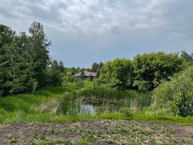 1175 Maben Ave S, Isle, MN 56342 - view of undeveloped land