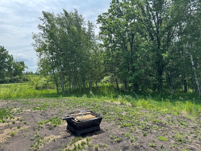 1175 Maben Ave S, Isle, MN 56342 - view of yard