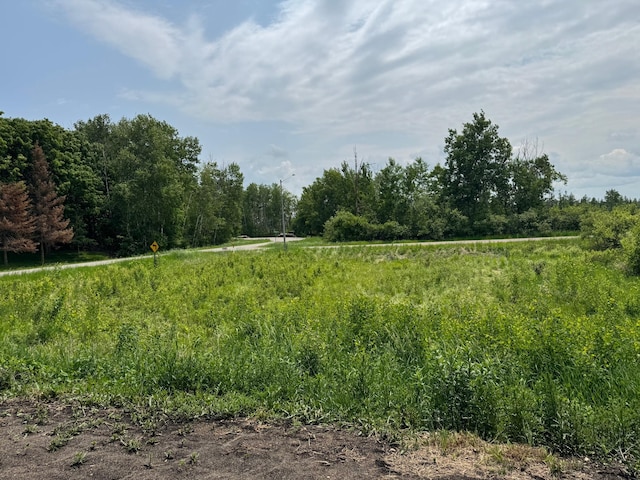 1175 Maben Ave S, Isle, MN 56342 - view of nature