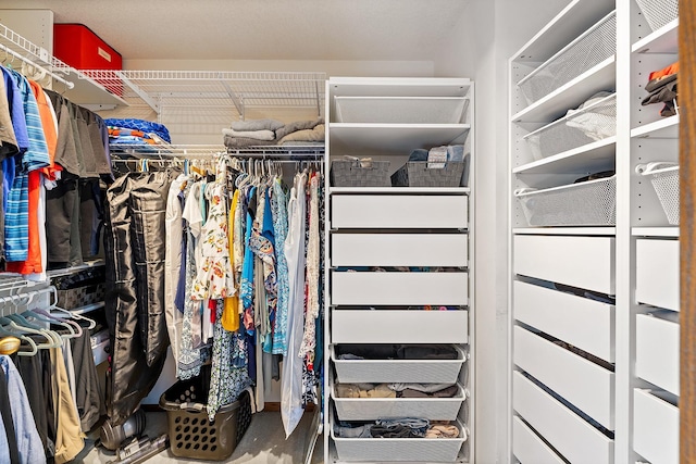 2040 Fountain Ln, Waconia, MN 55387 - view of spacious closet