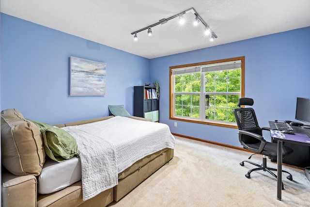 2040 Fountain Ln, Waconia, MN 55387 - carpeted bedroom featuring rail lighting and a desk