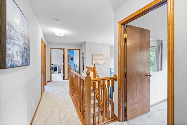 2040 Fountain Ln, Waconia, MN 55387 - corridor featuring an upstairs landing and light carpet