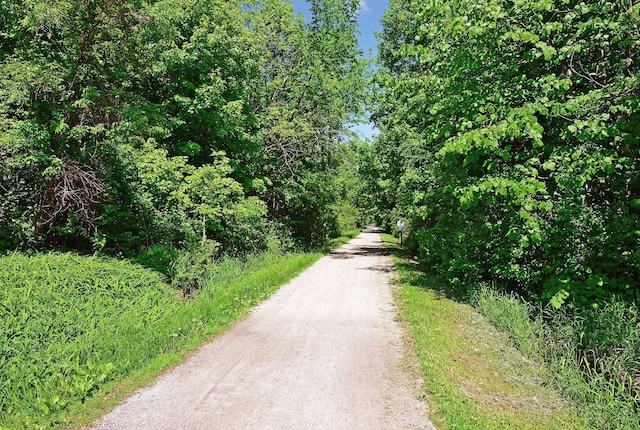 26350 Alexander Ln, Shorewood, MN 55331 - photo 84