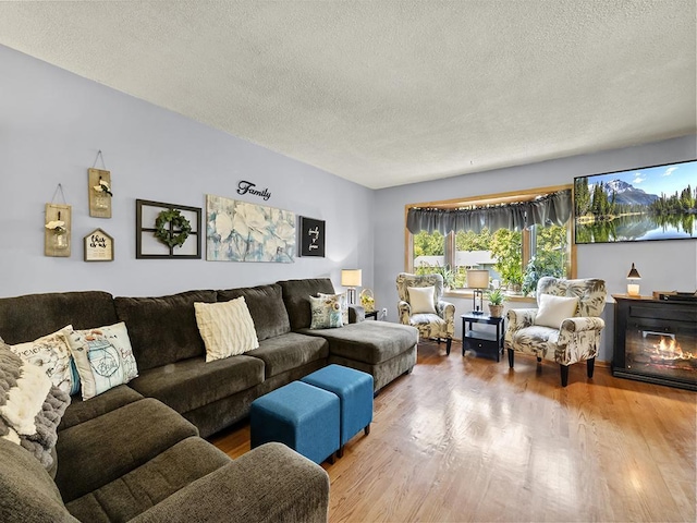 10740 99th Pl N, Maple Grove, MN 55369 - living room featuring a textured ceiling and wood finished floors