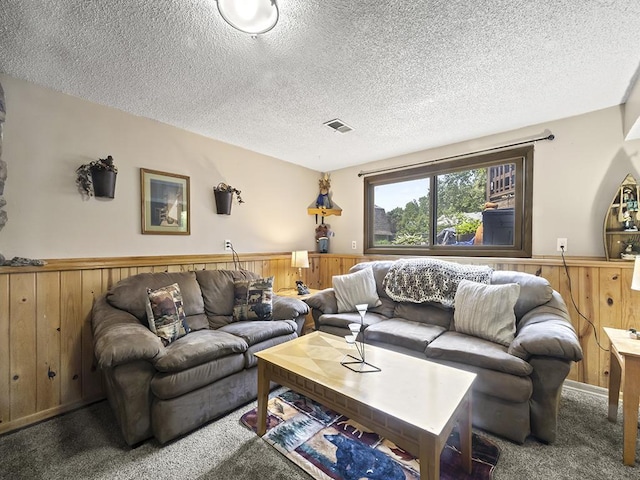 10740 99th Pl N, Maple Grove, MN 55369 - living area with carpet floors, wainscoting, wooden walls, and a textured ceiling