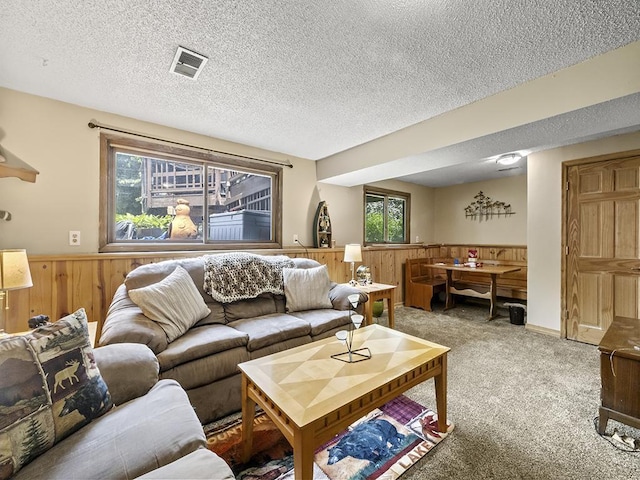 10740 99th Pl N, Maple Grove, MN 55369 - living room with wood walls, light carpet, a wainscoted wall, and a textured ceiling
