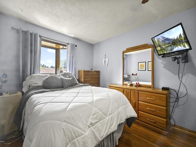 10740 99th Pl N, Maple Grove, MN 55369 - bedroom featuring dark wood-type flooring and a textured ceiling