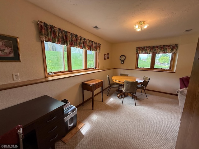 1508 Terrance Cir NE, New Prague, MN 56071 - carpeted dining space with plenty of natural light and baseboards