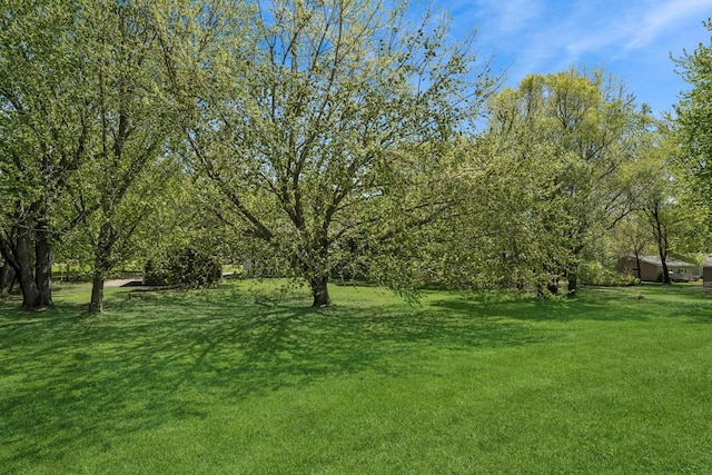8415 Needham Ave NE, Otsego, MN 55330 - view of grassy yard
