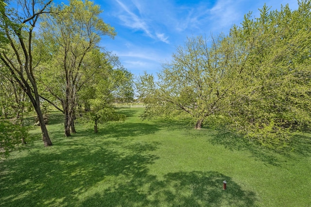 8415 Needham Ave NE, Otsego, MN 55330 - view of green lawn