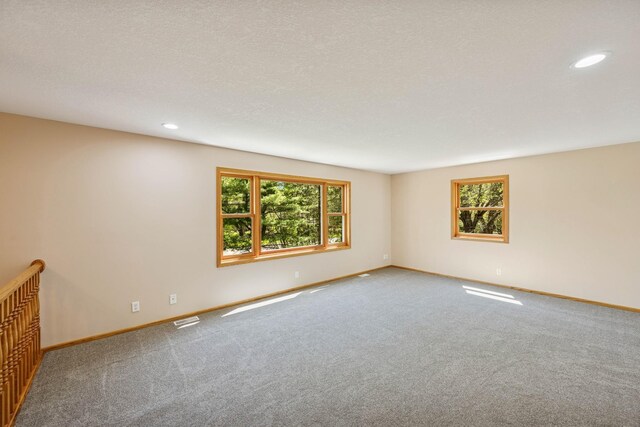 8415 Needham Ave NE, Otsego, MN 55330 - carpeted empty room with plenty of natural light, baseboards, and recessed lighting