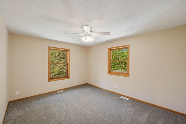 8415 Needham Ave NE, Otsego, MN 55330 - unfurnished room featuring healthy amount of natural light, carpet floors, a ceiling fan, and a textured ceiling