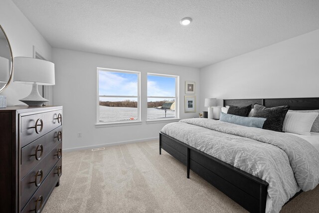 7130 Large Ave NE, Otsego, MN 55301 - bedroom featuring light carpet, a textured ceiling, and baseboards