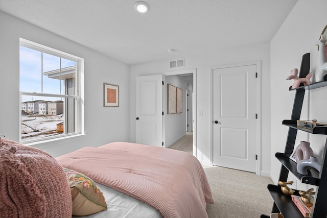 7130 Large Ave NE, Otsego, MN 55301 - bedroom with light carpet and baseboards