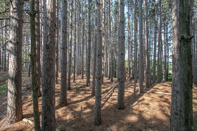 TBD Heather St NW, Isanti, MN 55040