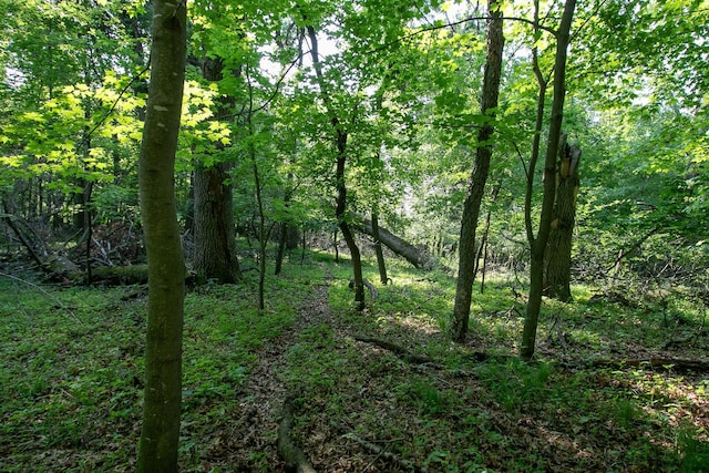 TBD Heather St NW, Isanti, MN 55040