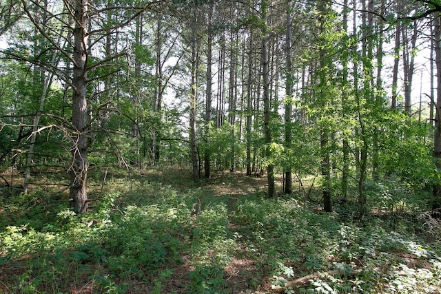 TBD Heather St NW, Isanti, MN 55040