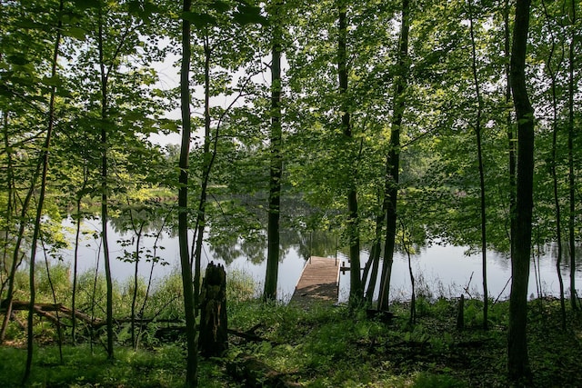 TBD Heather St NW, Isanti, MN 55040