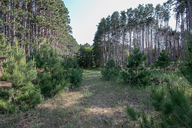 TBD Heather St NW, Isanti, MN 55040