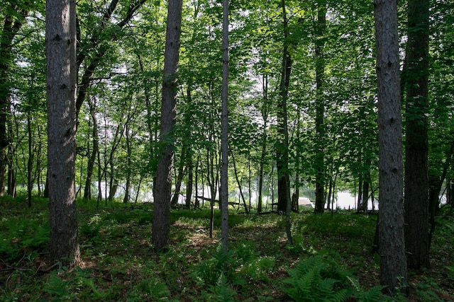TBD Heather St NW, Isanti, MN 55040
