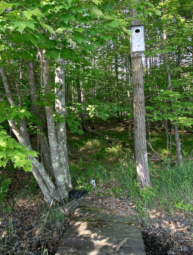 TBD Heather St NW, Isanti, MN 55040