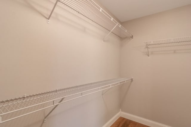 642 Haeberle Ave, New Ulm, MN 56073 - spacious closet with wood finished floors