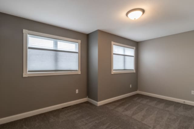 642 Haeberle Ave, New Ulm, MN 56073 - spare room featuring dark colored carpet and baseboards