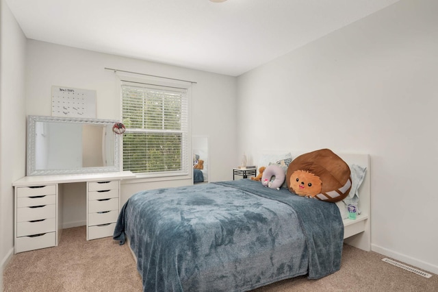 12049 Waconia Cir NE, Blaine, MN 55449 - bedroom with carpet and baseboards