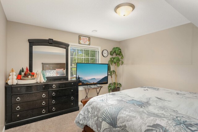 12049 Waconia Cir NE, Blaine, MN 55449 - bedroom with carpet