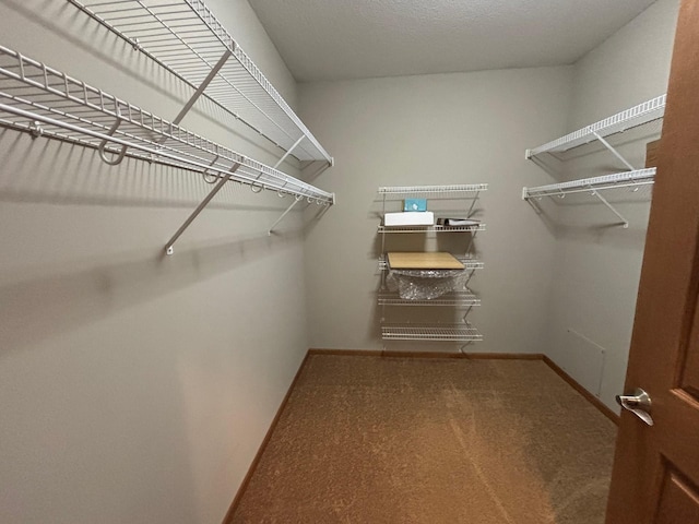 601 Levander Way Unit 311, South Saint Paul, MN 55075 - walk in closet featuring carpet floors