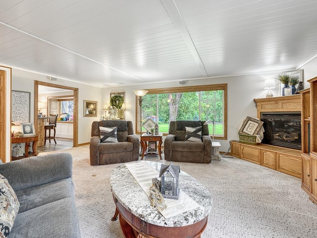 1144 Waldon Pl, Arden Hills, MN 55112 - living room with healthy amount of natural light, a glass covered fireplace, and light colored carpet