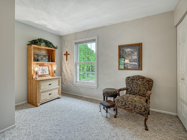 1144 Waldon Pl, Arden Hills, MN 55112 - sitting room with carpet, baseboards, and a textured ceiling