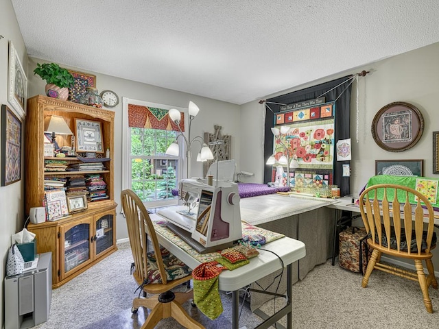 1144 Waldon Pl, Arden Hills, MN 55112 - home office featuring carpet flooring and a textured ceiling