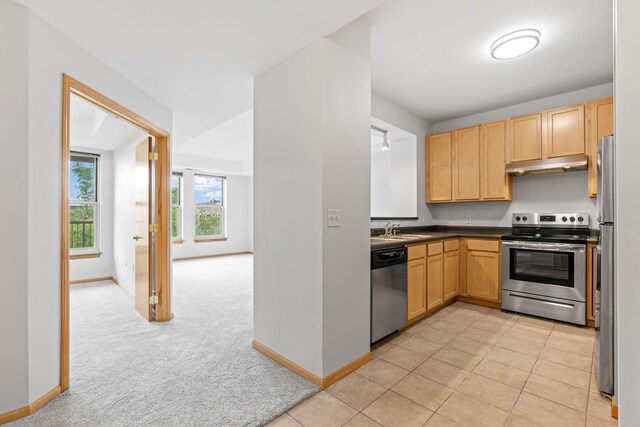 560 2nd St Unit 408, Minneapolis, MN 55401 - kitchen featuring stainless steel appliances, under cabinet range hood, baseboards, light colored carpet, and a sink