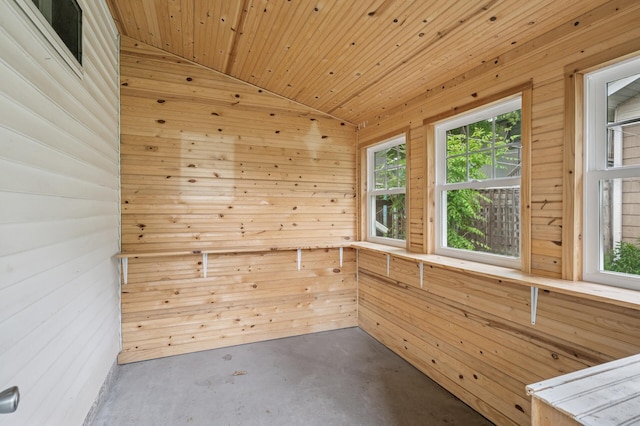 1441 Simpson St, Saint Paul, MN 55108 - unfurnished sunroom featuring vaulted ceiling and a relaxing sauna