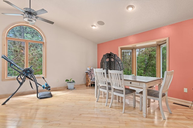 4480 253rd Ave NW, Isanti, MN 55040 - dining space featuring a ceiling fan, light wood-type flooring, lofted ceiling, and baseboards