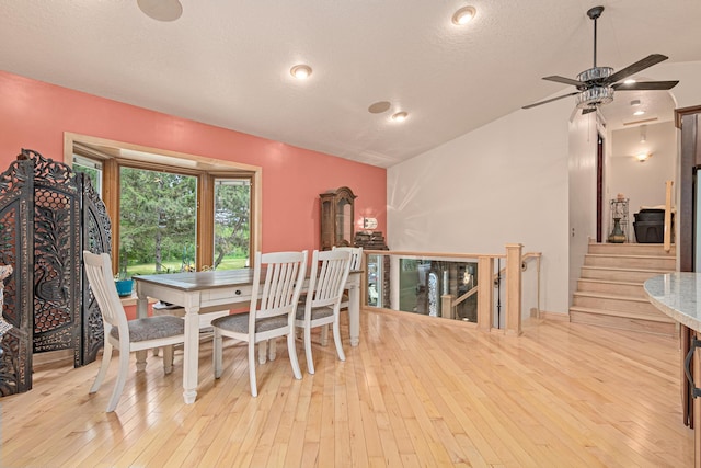 4480 253rd Ave NW, Isanti, MN 55040 - dining room with lofted ceiling, light wood finished floors, and ceiling fan