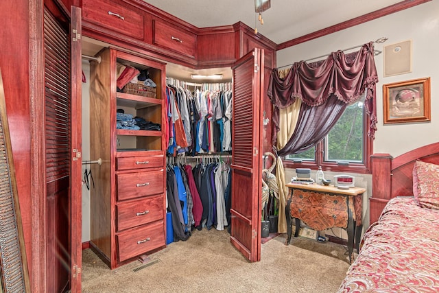 4480 253rd Ave NW, Isanti, MN 55040 - bedroom with light colored carpet, a closet, and ornamental molding