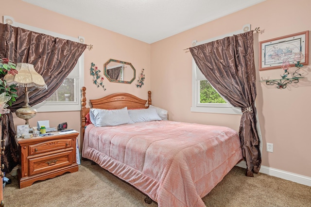 4480 253rd Ave NW, Isanti, MN 55040 - bedroom featuring carpet and baseboards